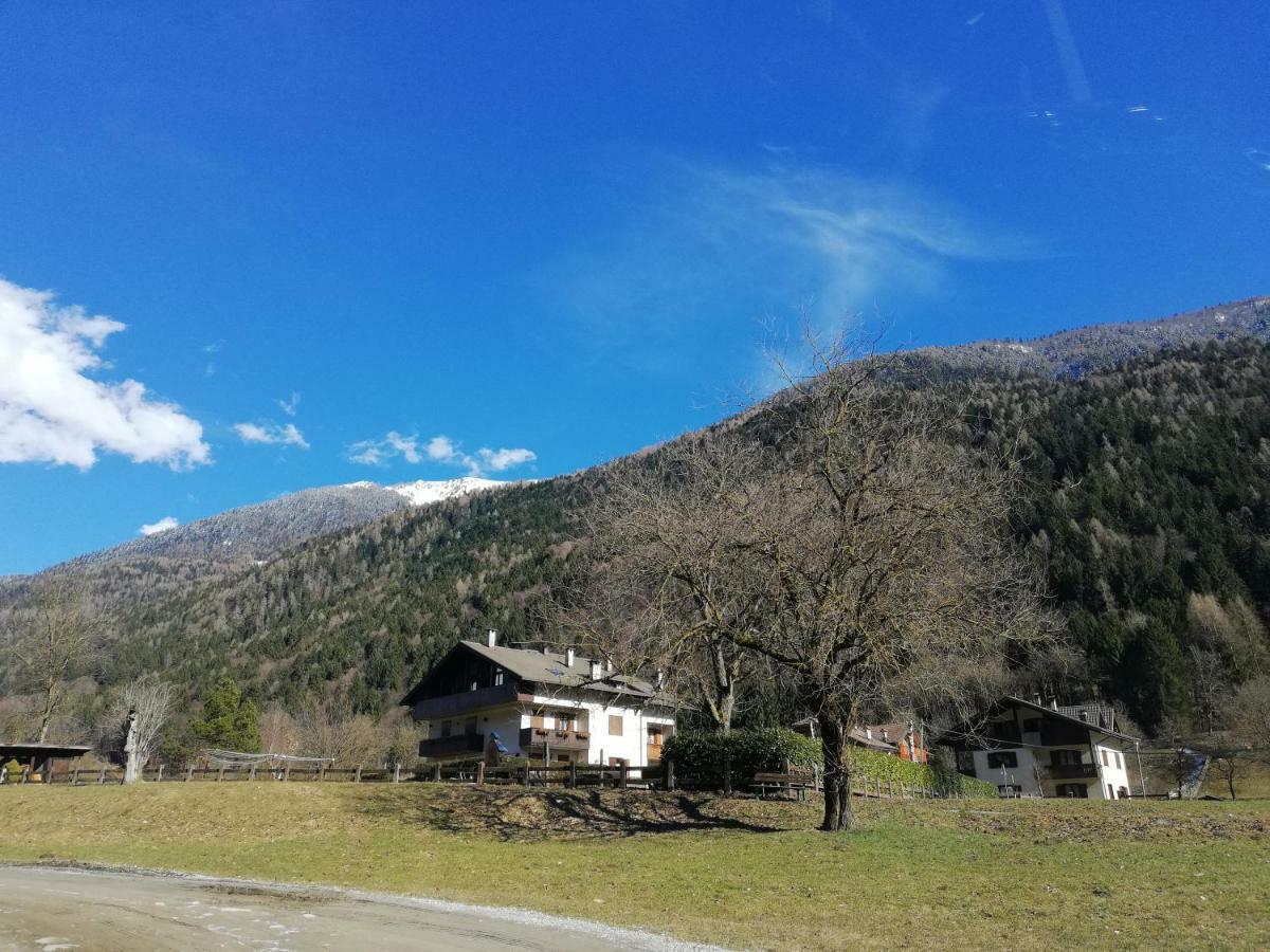 Attico Abbraccio Di Luce Lägenhet Spiazzo  Exteriör bild